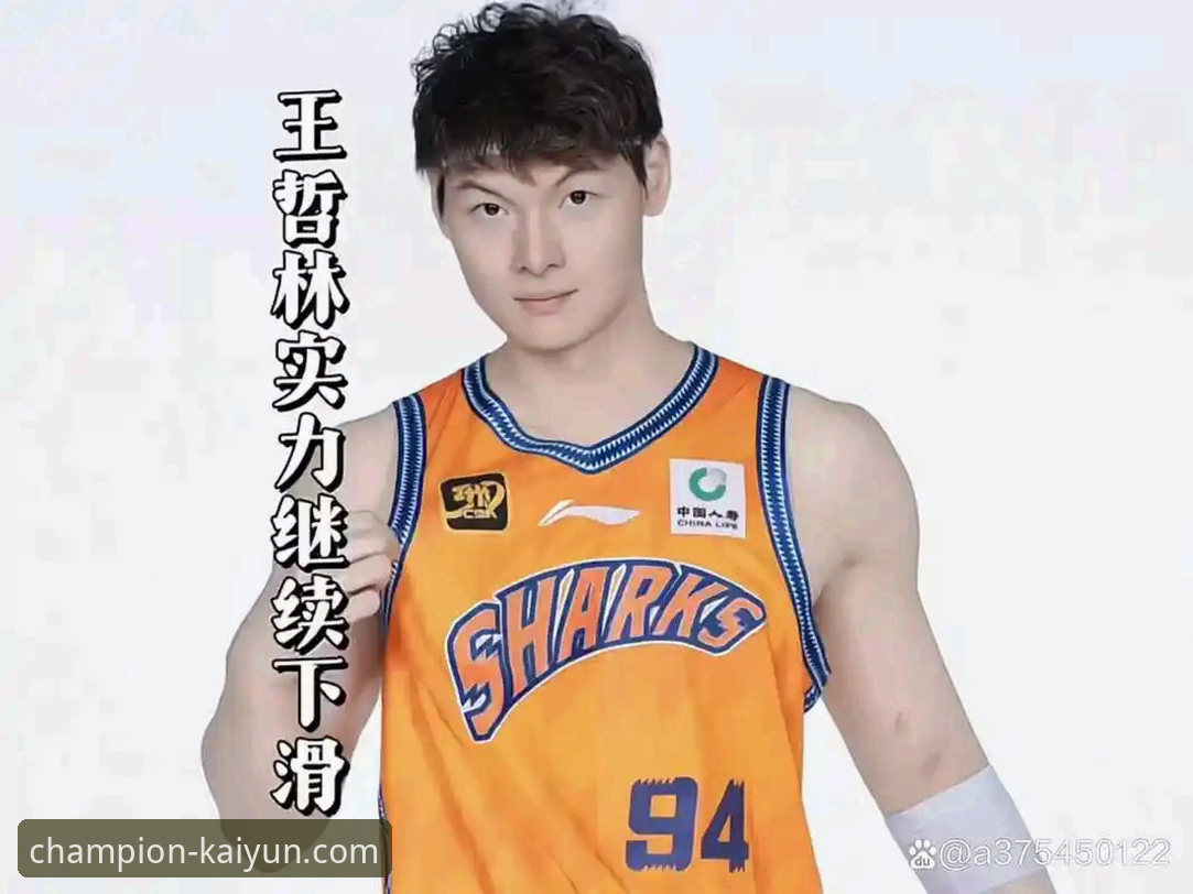 王哲林14年终圆梦CBA首冠深度分析：生涯最强一战的全方位解读